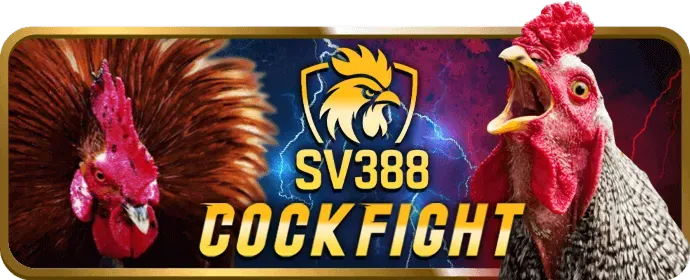 Cấp độ VIP Bạch kim của bkwin